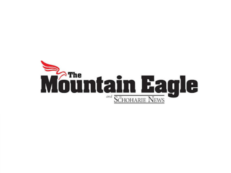 Mountain Eagle News logo