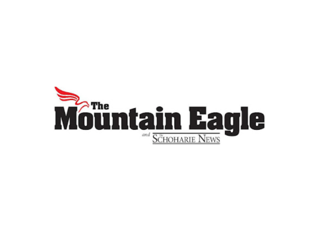 Mountain Eagle News logo