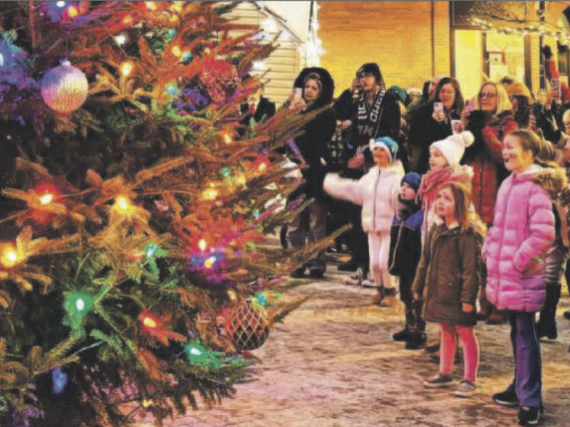 People outside around a lit up tree.