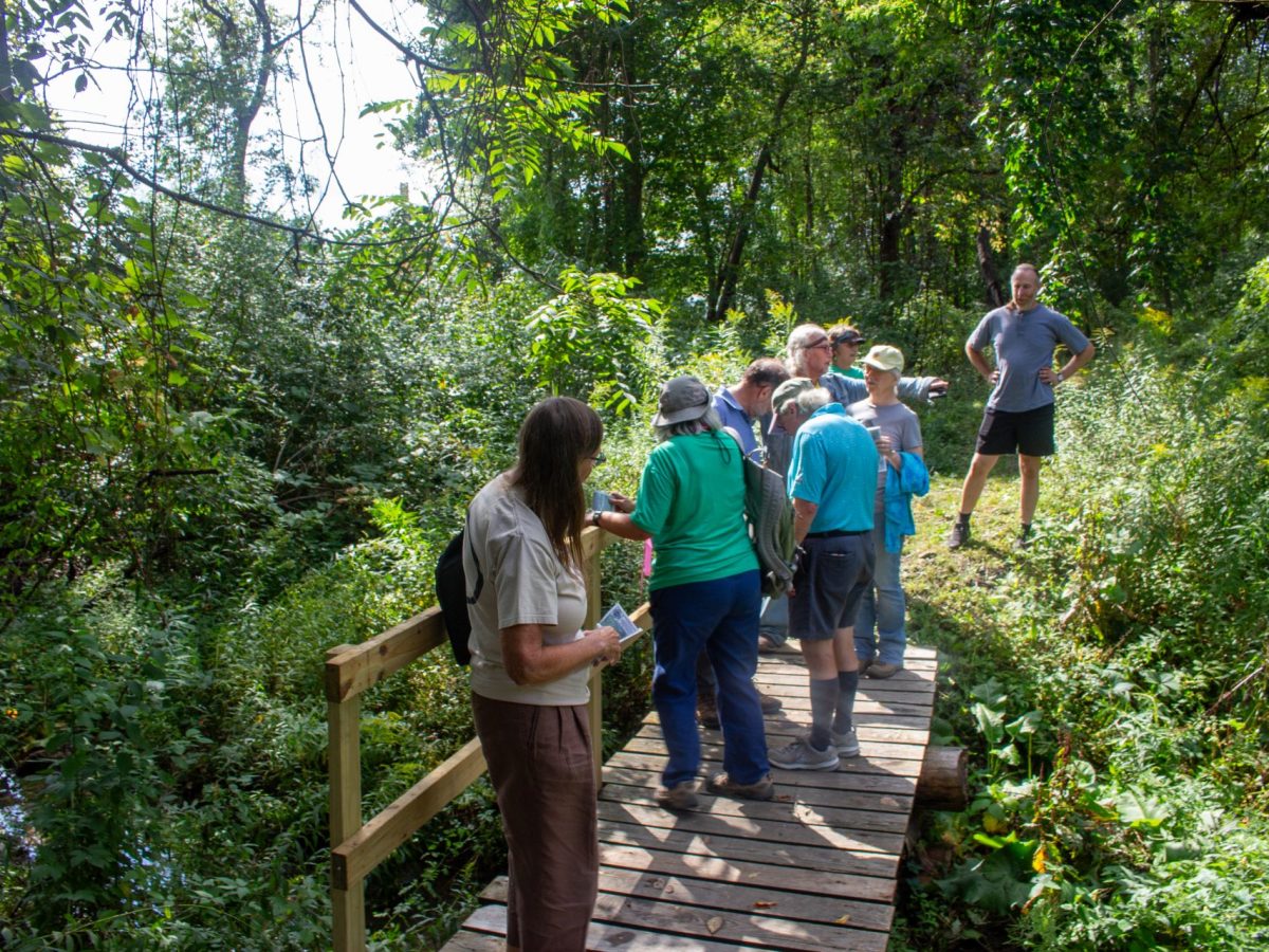 Short Trail, Long Effort: Oneonta Expands Greenway Network with Roundhouse Road Trail 